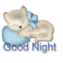 good night