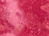 diamond pink