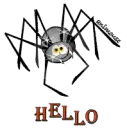 Spider Hello