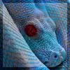 snake eye