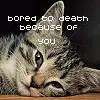 bored to death