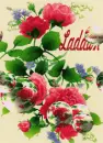 Ladawn-flowers