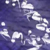 tile 1