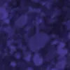 tile 17