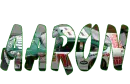 aaron
