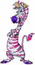 zebra