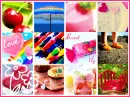 Candies