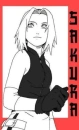 sakura