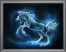 beauty white stalion, horse