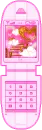 phone