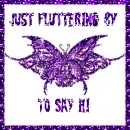 butterfly