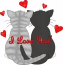 Cat Love