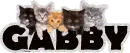 Gabby (Kittens)