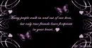 Butterflies