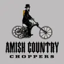 AMISH