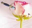 Rose stabbed by a dagger