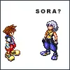 SoraxRiku