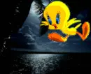 tweety bird