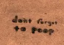 sidewalk graffitti