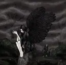 lady angel black