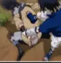 zaku and sasuke