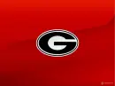 GA Bull Dogs