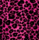 Pink Leopard Print