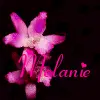 Melanie