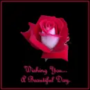 Nace Day