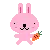 Rabbit