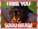 I Miss You Sooo Much!
