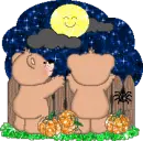Bears looking at full moon