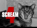 scream 4