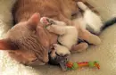 motherhood