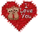 Raccoons- I love you
