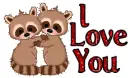 Raccoons- I love you