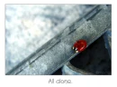 alone
