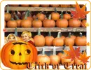 Trick or Treat!