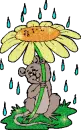 mouse rain
