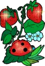 strowberry bug
