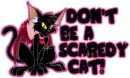Scaredy Cat