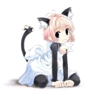 Neko Sakura