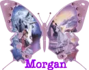 pink unicorn butterfly morgan