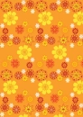 Orange x Yellow Flowers