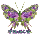 purple and green butterfly tracy