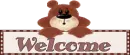 welcome teddy bear