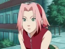 cute sakura chan