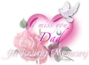 Symathy miss you Tabi  Dad