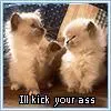 i will kick your azz