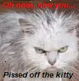 Oh noes